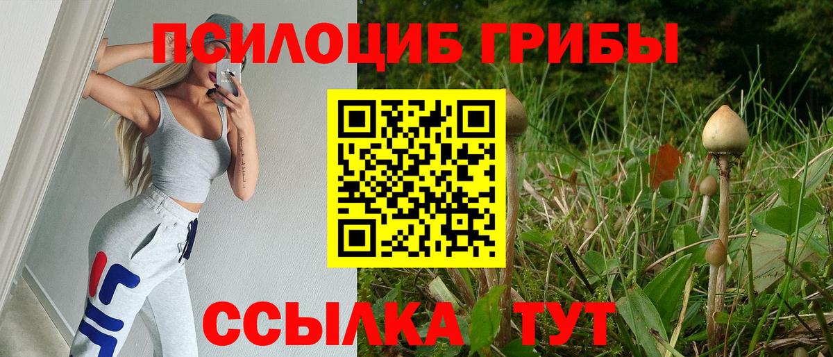 Псилоцибиновые грибы MAGIC MUSHROOMS  Вход с VPN  Югорск 